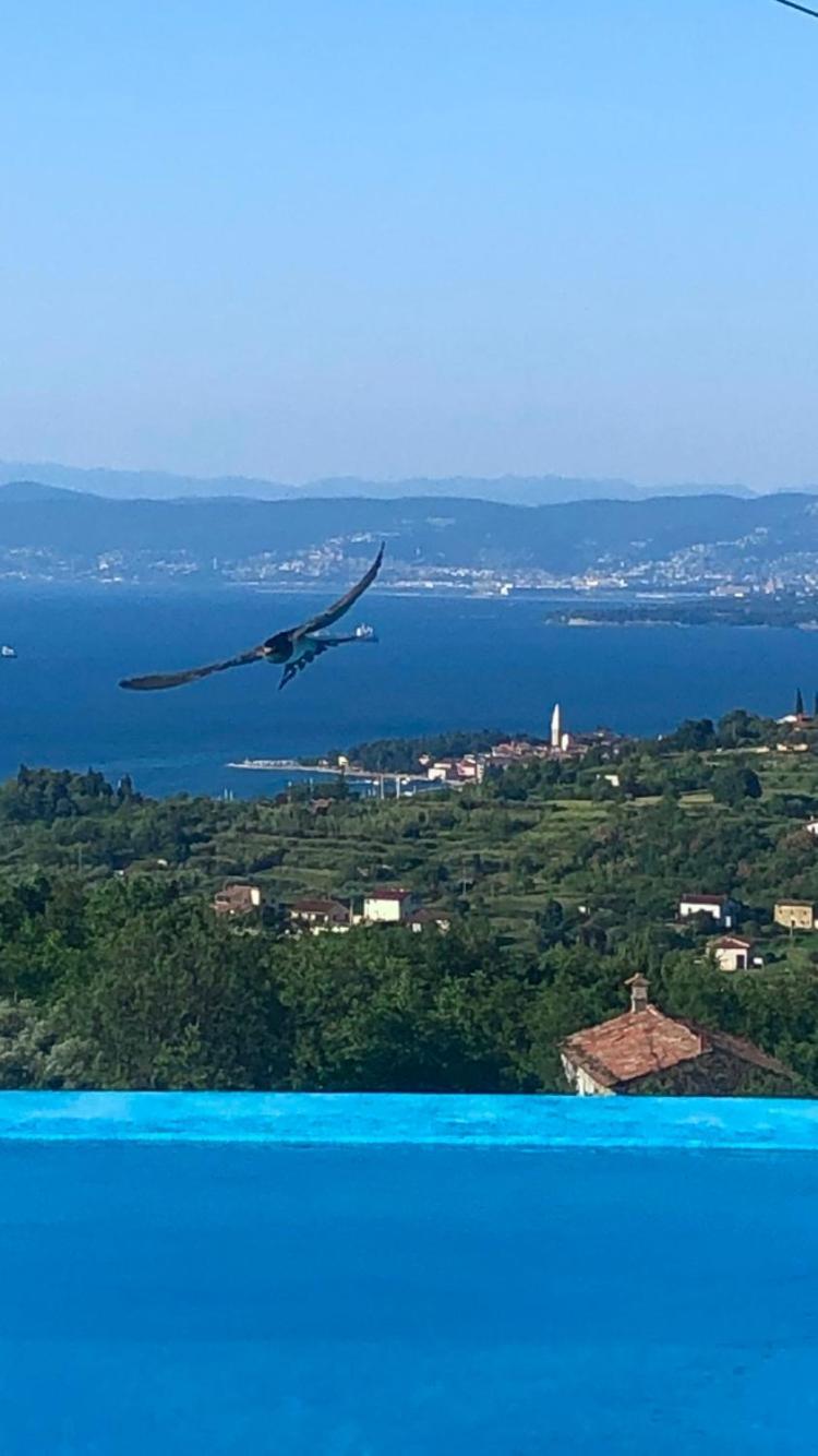 Apartmaji Meli Pu Izola Buitenkant foto